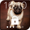 Sweet Pug Puppy Lock Screen aplikacja