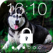 Siberian Husky Dog PIN Lock