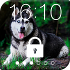 Siberian Husky Dog PIN Lock icône