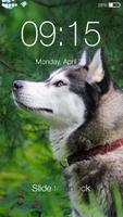 Siberian Husky Dog PIN Lock Affiche