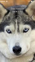 Siberian Husky Dog PIN Lock imagem de tela 1