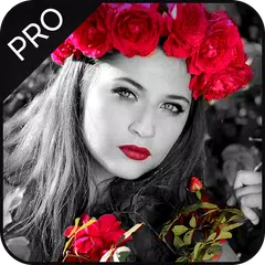 download Color Pop : Color Splash Effec APK