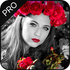 Color Pop : Color Splash Effec آئیکن