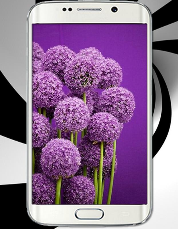 Cute Purple Wallpapers For Android Apk Download
