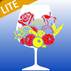 Aromi dei Vini Lite icon