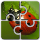 Ladybug HD Jigsaw Puzzle icono