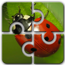 Ladybug HD Jigsaw Puzzle Free aplikacja