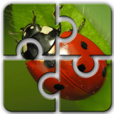Uğur Böceği HD Jigsaw Yapboz Ücretsiz simgesi