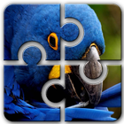 Parrot HD Jigsaw Puzzle Free icon