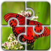 Butterfly HD Jigsaw Puzzle Free