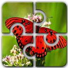 Butterfly HD Jigsaw Puzzle icon