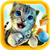 Cat Simulator Mod apk versão mais recente download gratuito