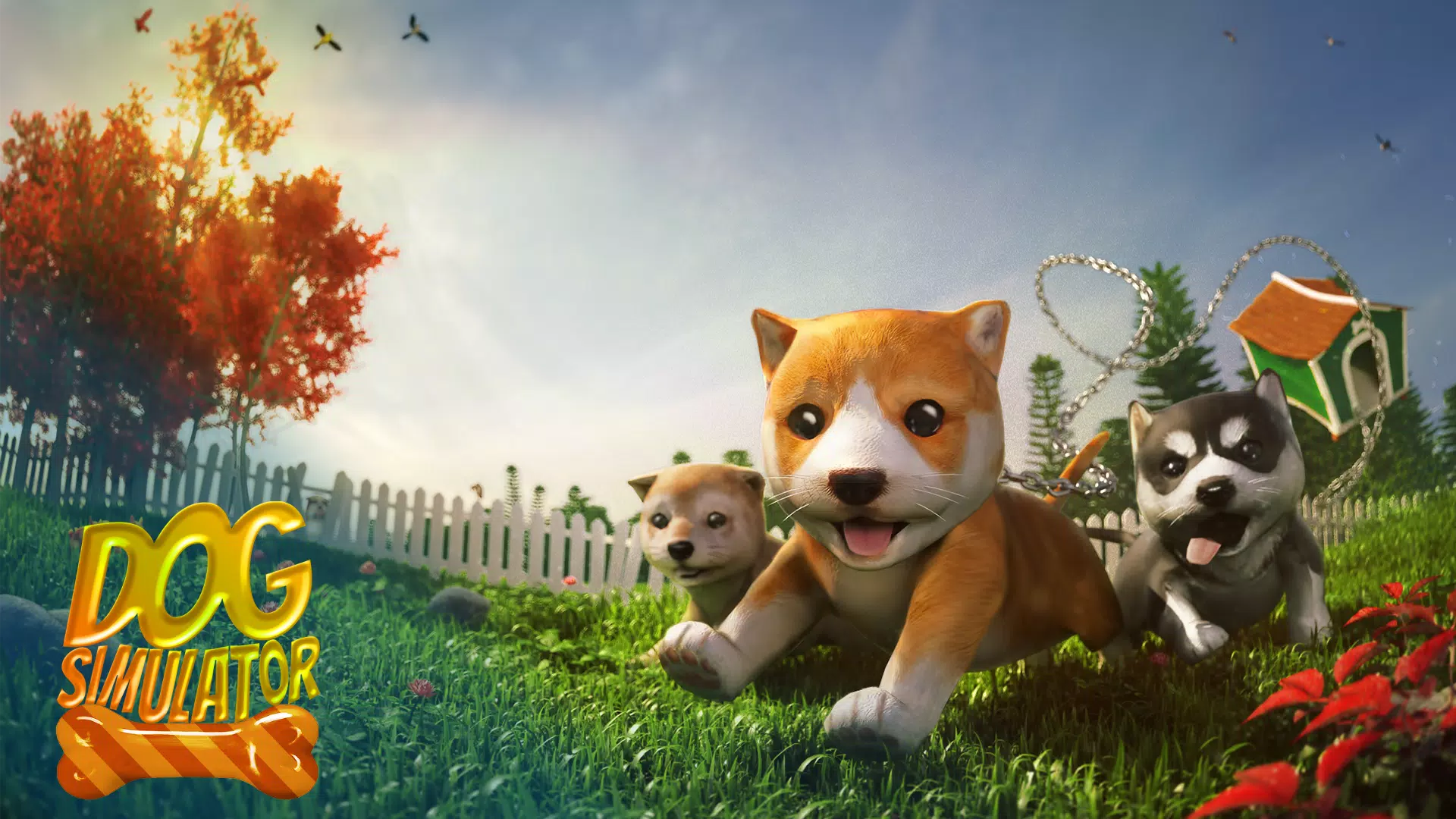 Dog Condo APK Download for Android Free