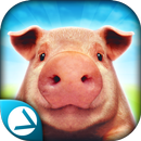 Pig Simulator APK