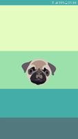 Cute Pug Wallpapers Affiche