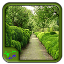 Garden Hedges Types Design APK