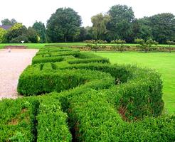Design de tipos de Hedges Garden imagem de tela 1