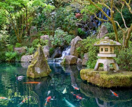 Anese Water Garden Design For Android Apk Anese Water Garden Design Poster Screenshot 1