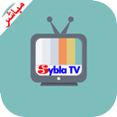 شاهد جميع قنوات sybla tv مباشر APK