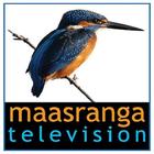 Maasranga TV HD LIVE icon