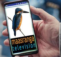 Maasranga TV HD LIVE スクリーンショット 1