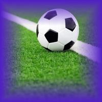 CHEATS: Football Master Ekran Görüntüsü 1