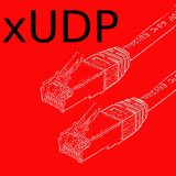 UDP Tester 2 Zeichen