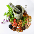 Tanaman Obat Herbal