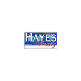 Hayes Real Estate ícone