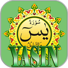 Surah Yasin icône