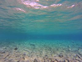 Underwater Photo Frames 截图 3