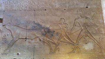 Ancient Egyptian Wallpapers ภาพหน้าจอ 1