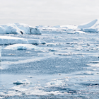 Antarctica Wallpapers 图标