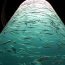 Aquarium Wallpapers APK