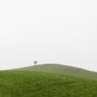 Green Hill Wallpapers आइकन