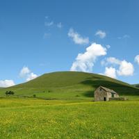 Green Hill Wallpapers पोस्टर
