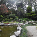 Japanese Garden Wallpapers APK