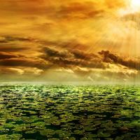 Romantic Wallpapers 截图 3