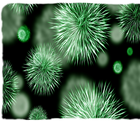 Science Wallpapers أيقونة