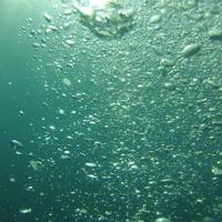 Underwater Wallpapers capture d'écran 3