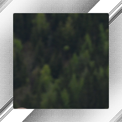 Aesthetic Photo Frames