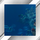 Aquarium Photo Frames ikona