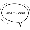 ”Albert Camus Quotes