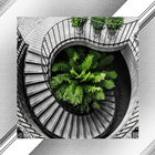 Stairs Photo Frames icon