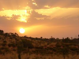 پوستر Steppe Photo Frames