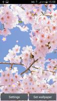 Cherry Blossom Live Wallpaper تصوير الشاشة 1