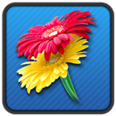 Beautiful Flower Stickers APK