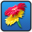 Beautiful Flower Stickers icon