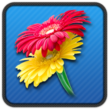 Beautiful Flower Stickers icon