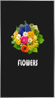 Beautiful Flower Stickers poster